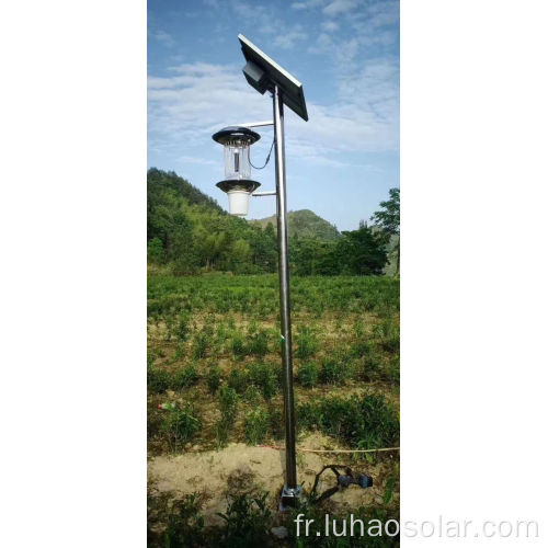 Mosquito Solar Light Fiction